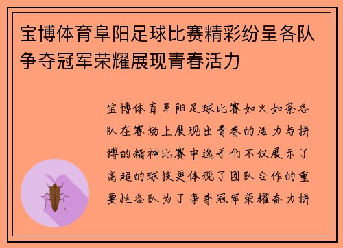 宝博体育阜阳足球比赛精彩纷呈各队争夺冠军荣耀展现青春活力